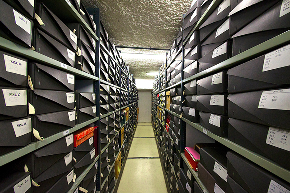 Ressources Scientifiques - Archives - Institut Pasteur Ressources Scientifiques - Archives - Institut Pasteur