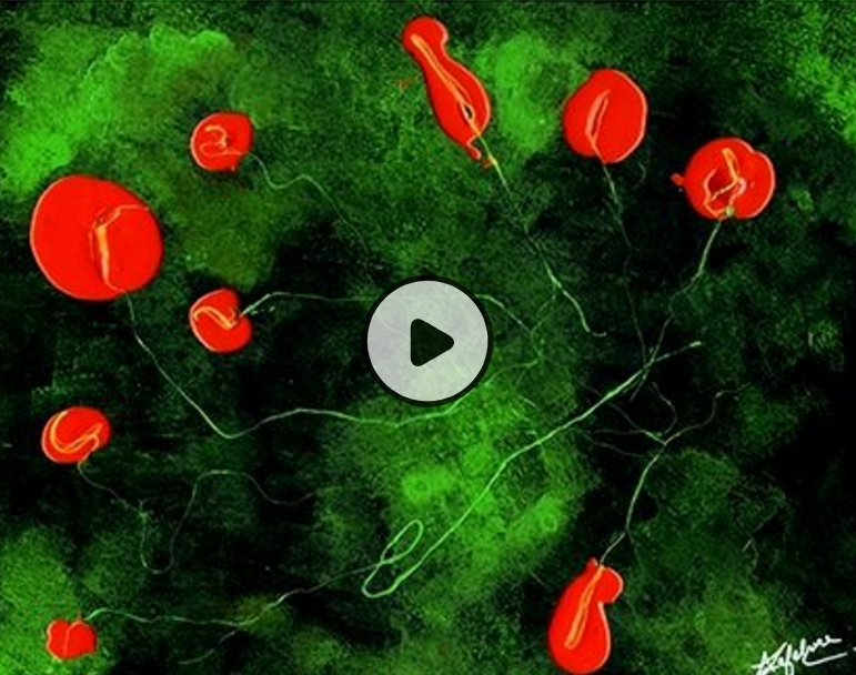 Mooc From neuron to behavior - Institut Pasteur/Cnam Mooc From neuron to behavior - Institut Pasteur/Cnam