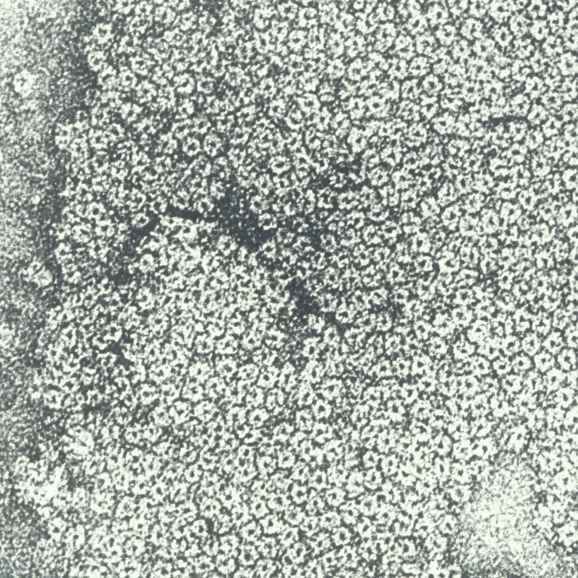 Récepteurs d'acétylcholine isolés et purifiés en 1970 par Jean-Pierre Changeux - Institut Pasteur Récepteurs d'acétylcholine isolés et purifiés en 1970 par Jean-Pierre Changeux - Institut Pasteur