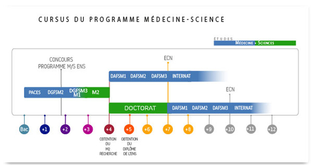 cursus-programme-medecine-sciences