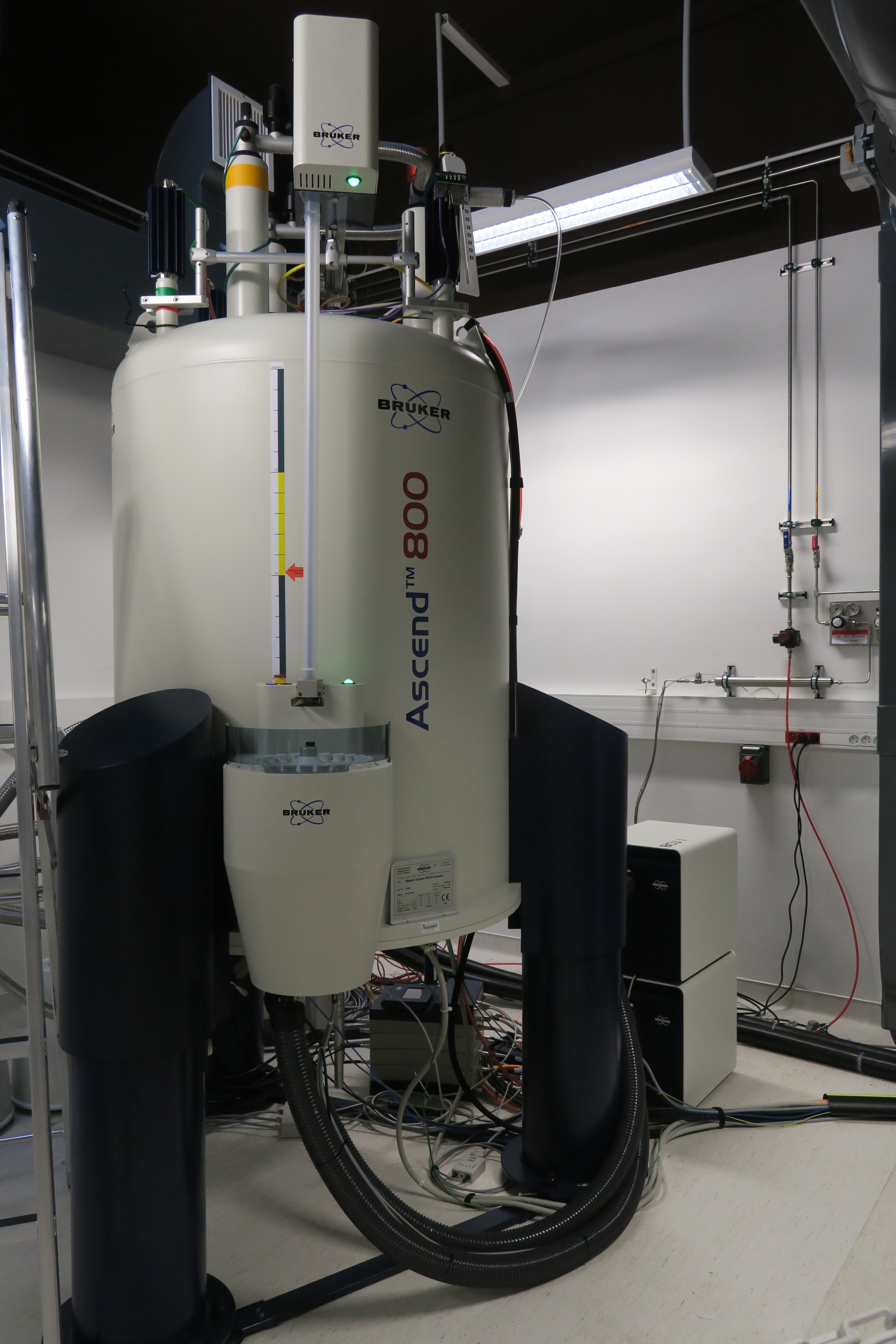 RMN 800 MHz - Institut Pasteur