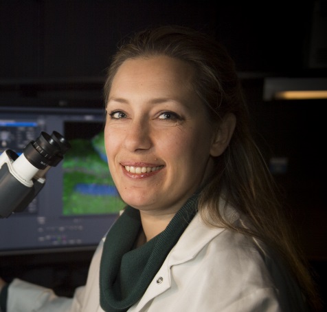Lida Katsimpardi - Institut Pasteur