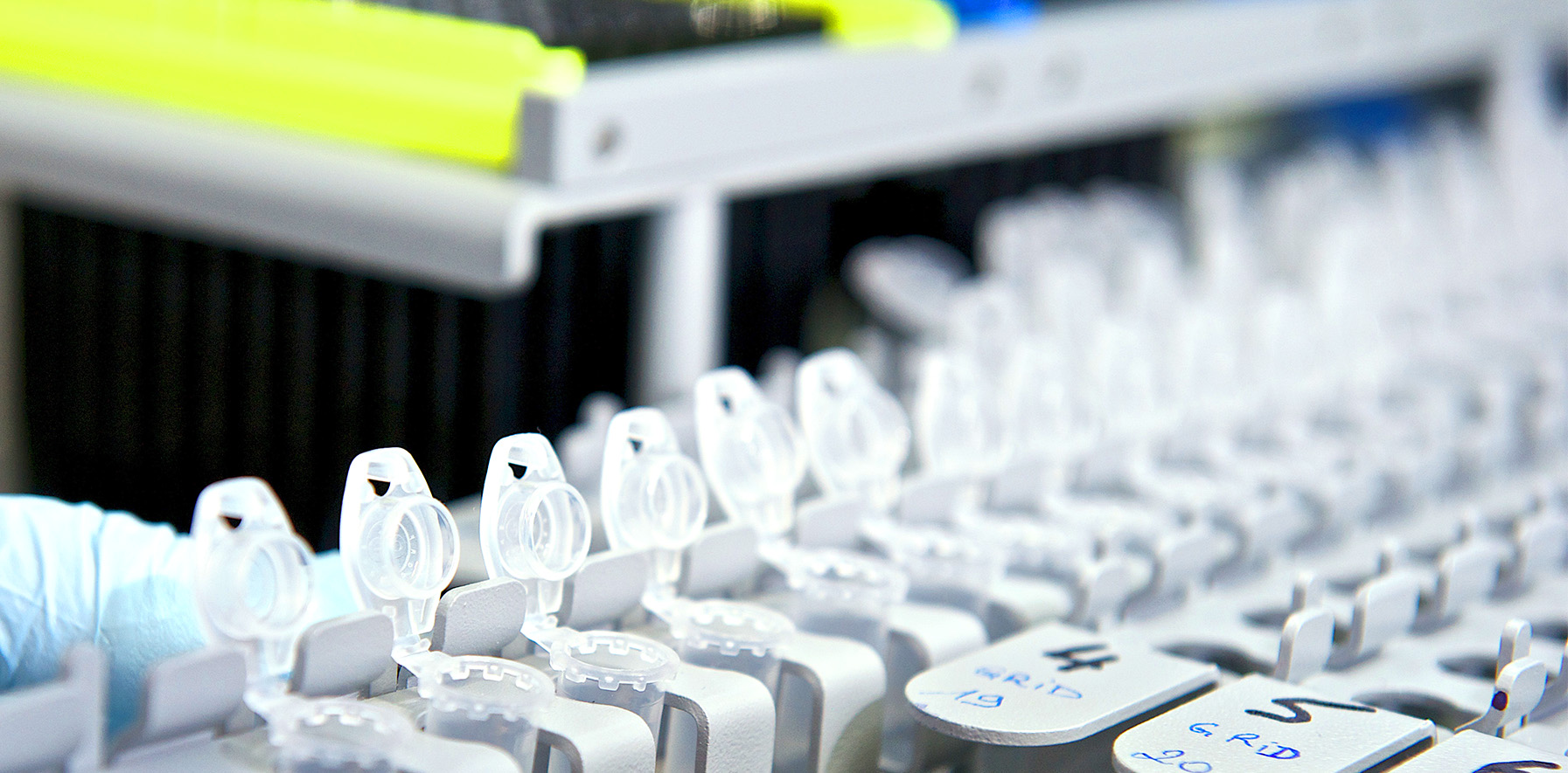 Système immunitaire - Institut Pasteur