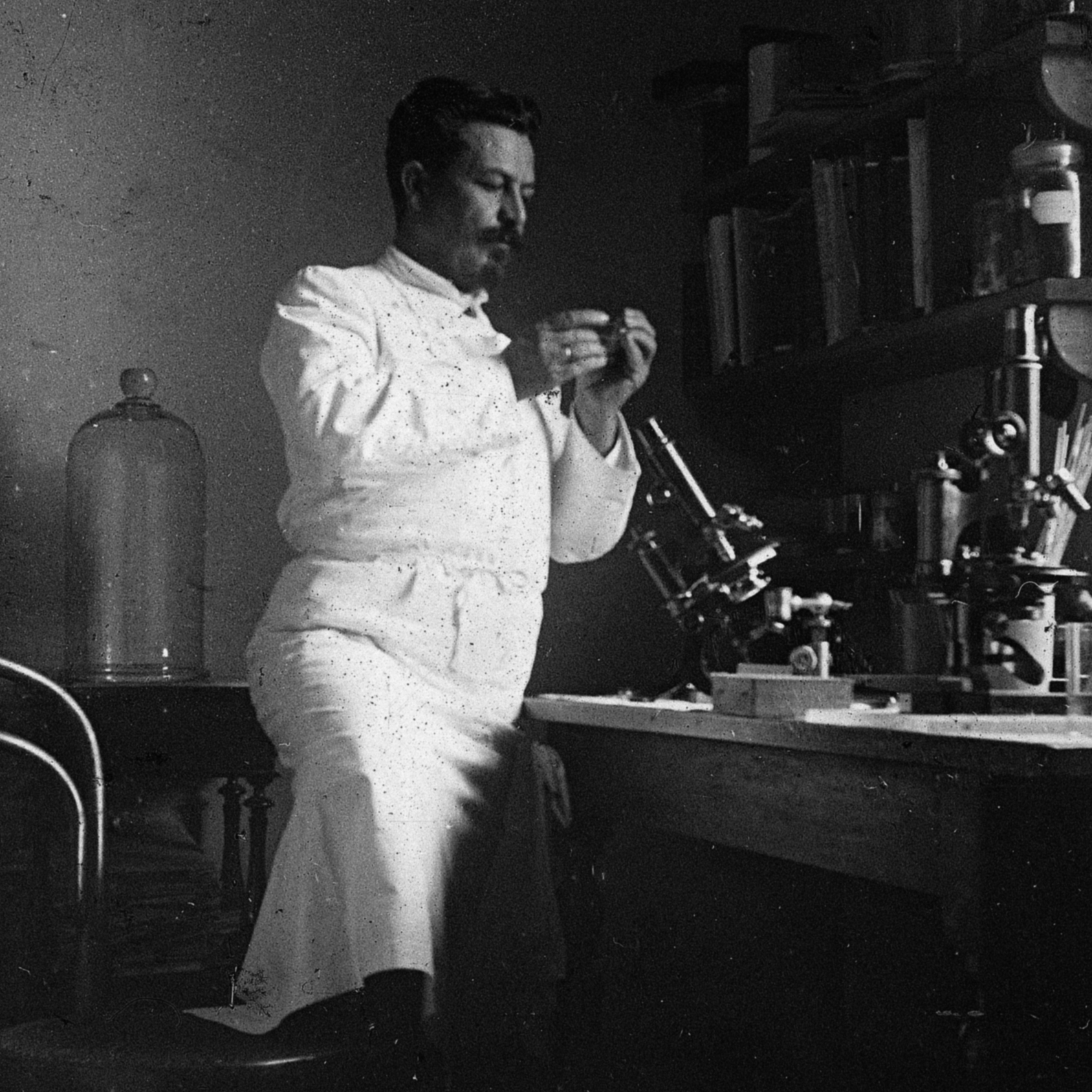 paul-louis-simond-institutpasteur paul-louis-simond-institutpasteur