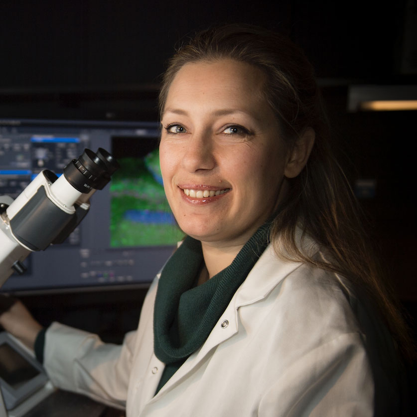 Lida Katsimpardi chercheuse en neuroscience dans l’unité Perception et mémoire dirigée par Pierre-Marie Lledo Lida Katsimpardi chercheuse en neuroscience dans l’unité Perception et mémoire dirigée par Pierre-Marie Lledo