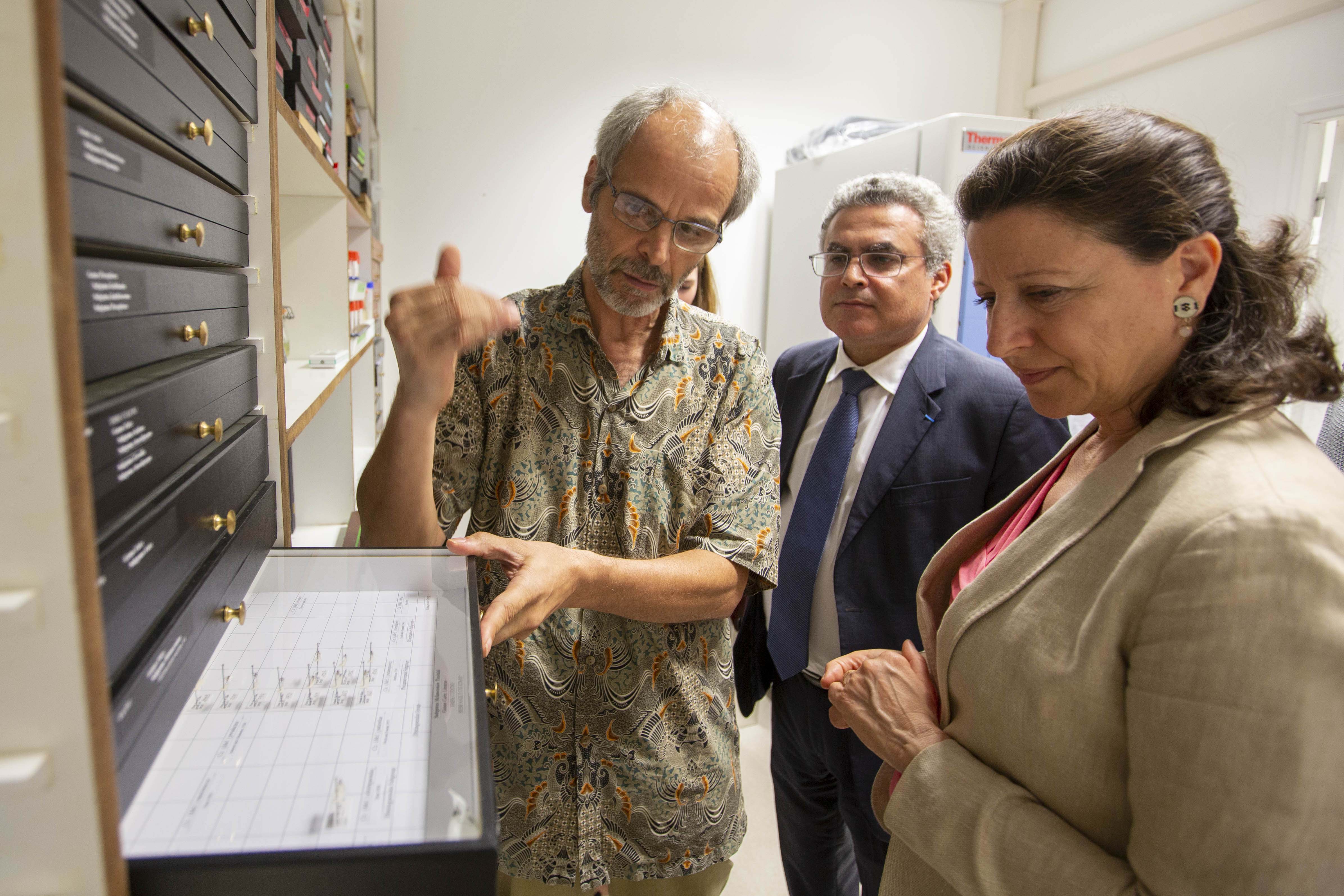 Jean-Bernard Duchemin (à gauche) présente la collection des moustiques de l’Institut Pasteur de la Guyane depuis 1940 à Madame Agnès Buzyn en présence du Dr Mirdad Kazanji