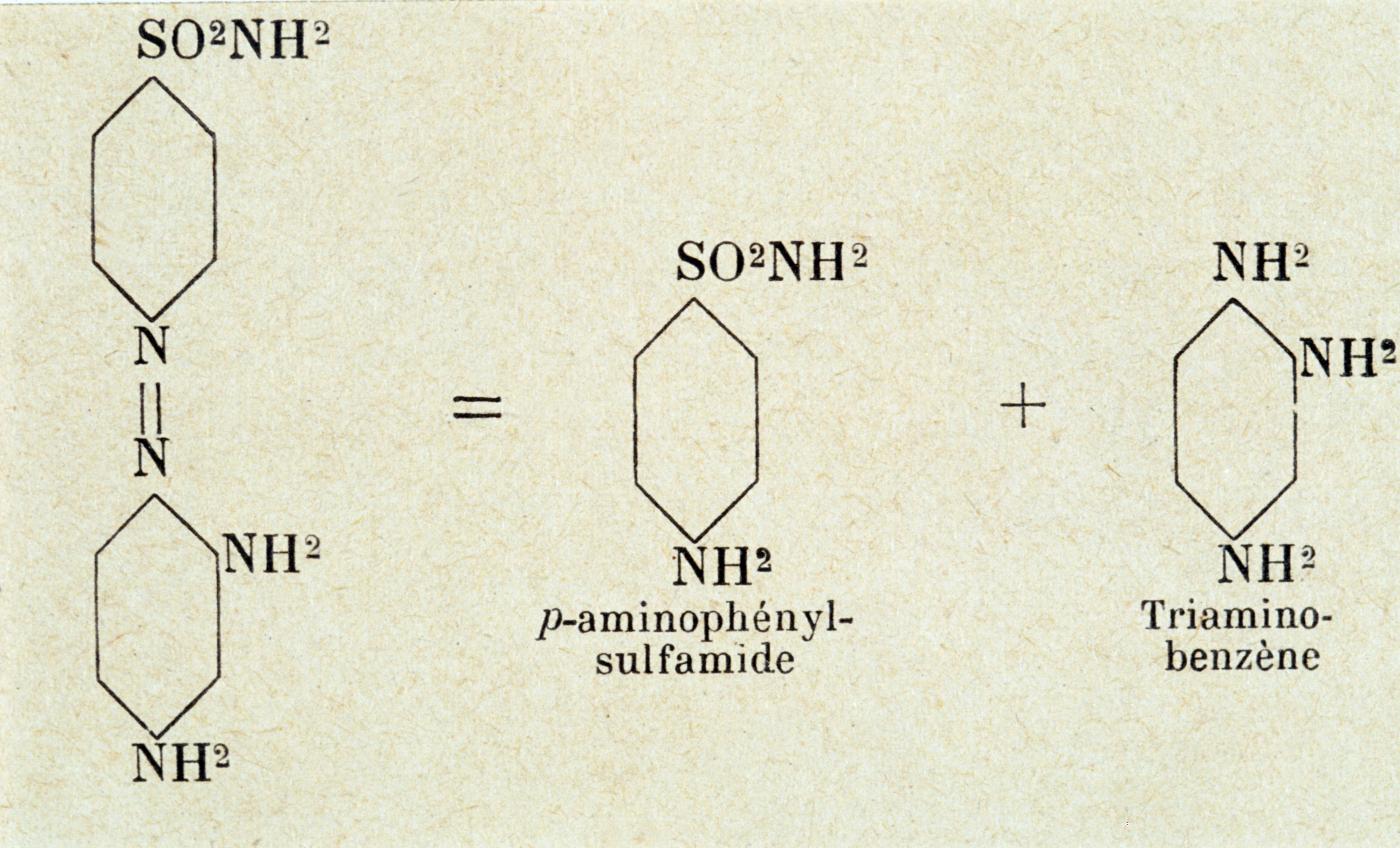 Travaux de Jacques Trefouël sur les sulfamides - Institut Pasteur Travaux de Jacques Trefouël sur les sulfamides - Institut Pasteur