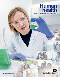 Annual Report 2018