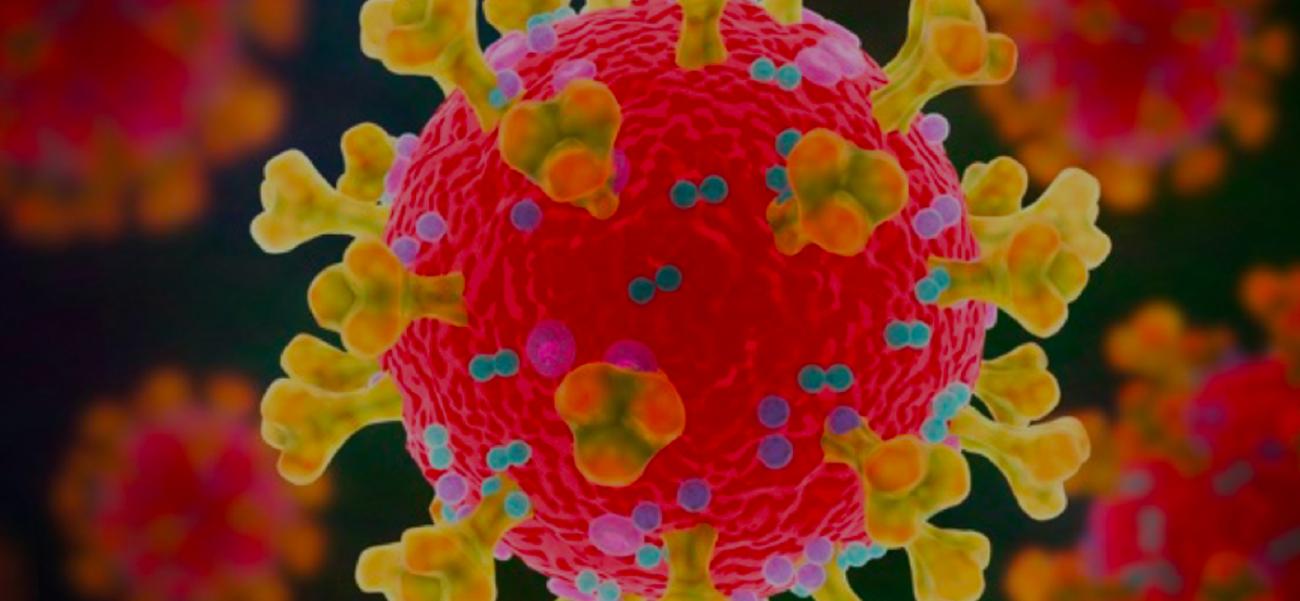 Coronavirus : toute l’actualité de l’Institut Pasteur sur COVID-19 - Institut Pasteur Coronavirus : toute l’actualité de l’Institut Pasteur sur COVID-19 - Institut Pasteur