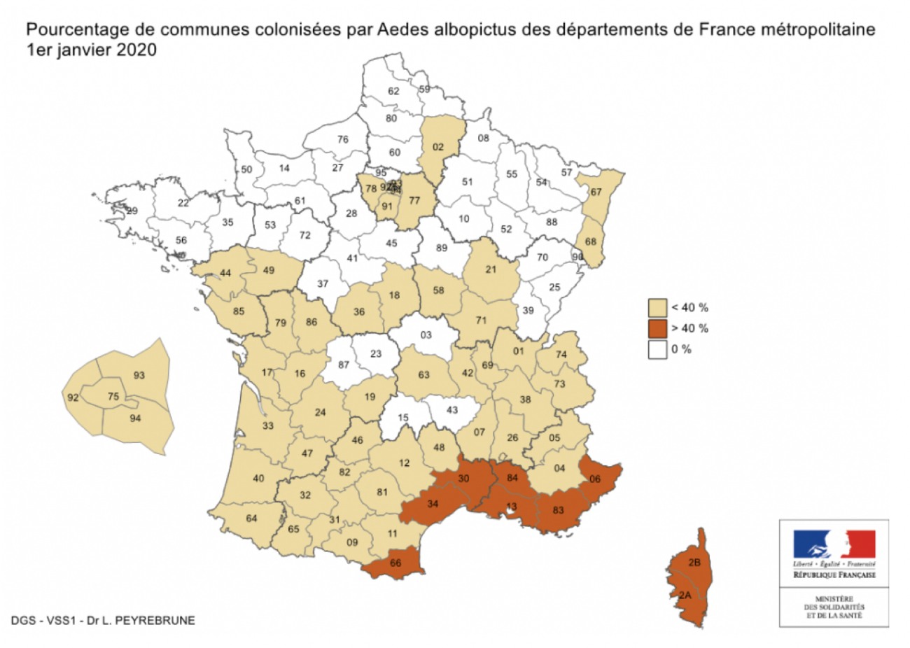 Tiger mosquito in France: 58 départements on red alert - Institut Pasteur Tiger mosquito in France: 58 départements on red alert - Institut Pasteur