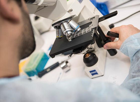 Task Force Coronavirus - Institut Pasteur - 2020 Task Force Coronavirus - Institut Pasteur - 2020