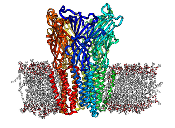 Task Force Coronavirus - Institut Pasteur - 2020 Task Force Coronavirus - Institut Pasteur - 2020