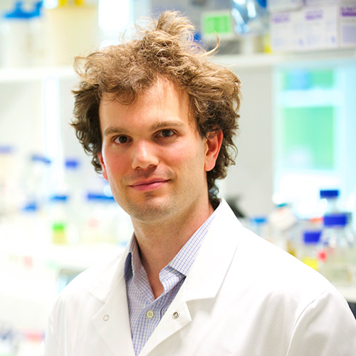 David Bikard, responsable du groupe Biologie de synthèse à l’Institut Pasteur. David Bikard, responsable du groupe Biologie de synthèse à l’Institut Pasteur.