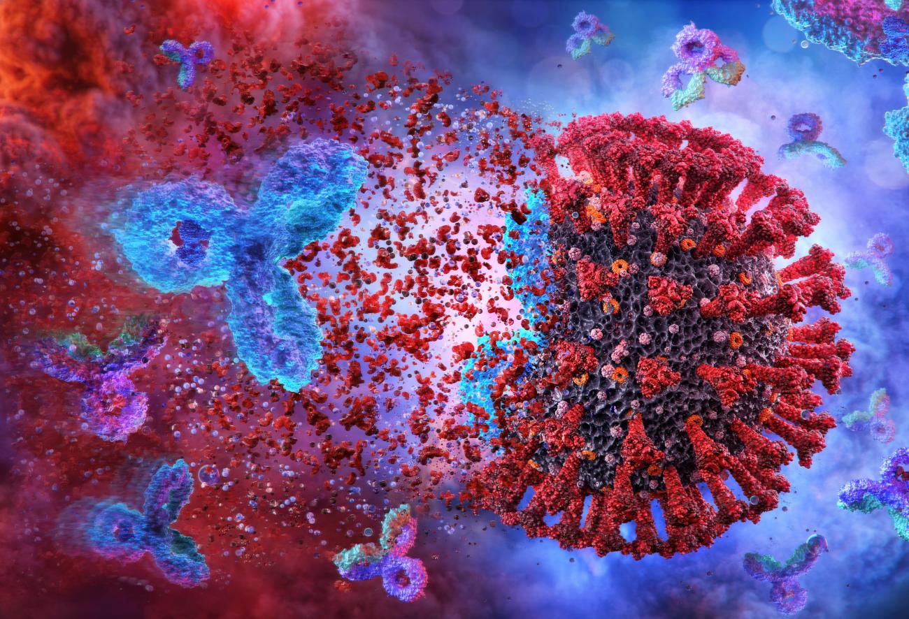 Sars-Cov-2 Immunity Sars-Cov-2 Immunity