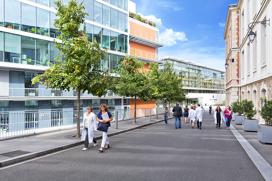 © Institut Pasteur / Thomas LANG L’alternance à l’Institut Pasteur