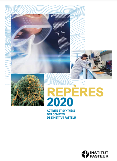 Repères 2020 - Activité et synthèse des comptes de&nbsp;l’Institut Pasteur