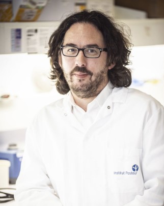 Hugo Mouquet - Institut Pasteur Hugo Mouquet - Institut Pasteur