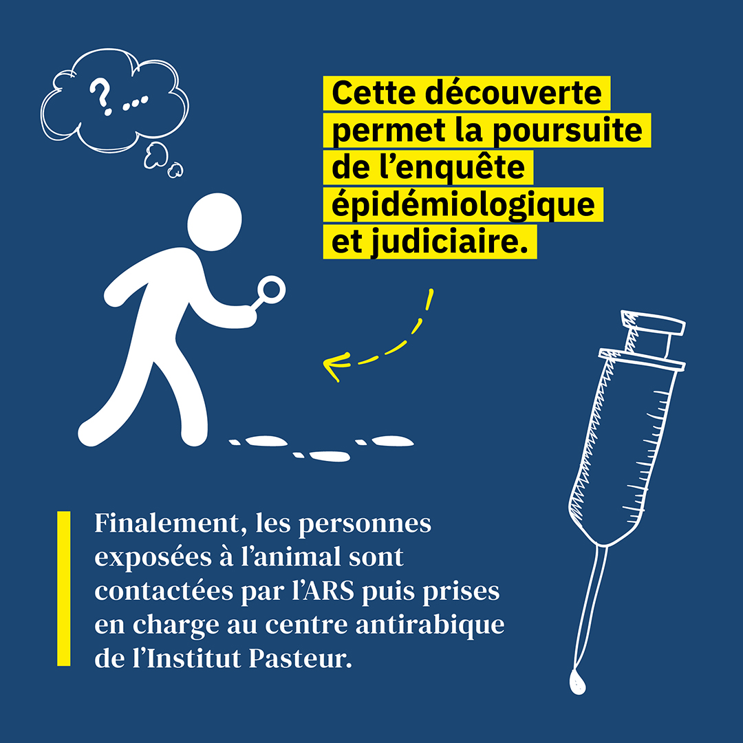 Poursuite de l'enquête épidémiologique