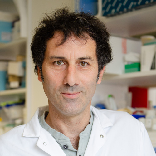 © Valérie ZEITOUN, Institut Pasteur Mathieu Picardeau - Institut Pasteur - 2024