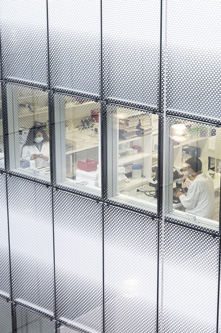 © François Gardy, Institut Pasteur photo illustrative
