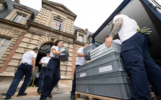 Déménageurs en action