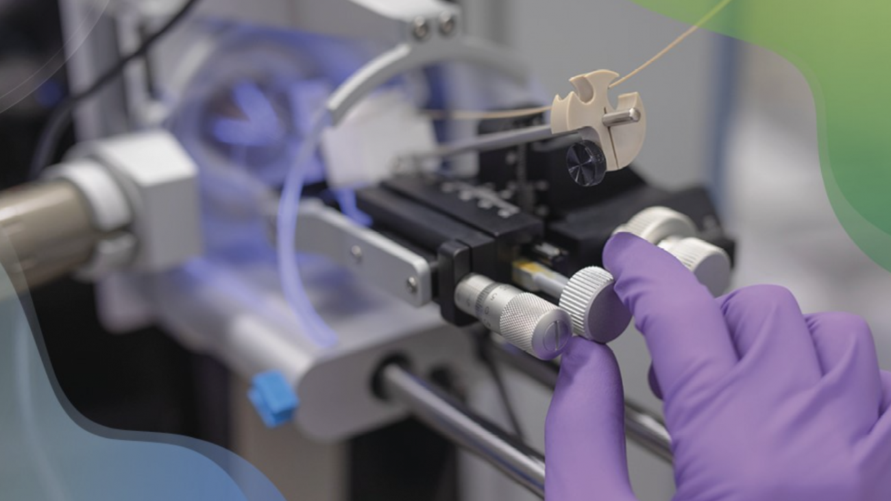 © Institut Pasteur embl-ip