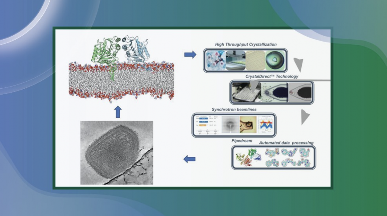 embl-ip