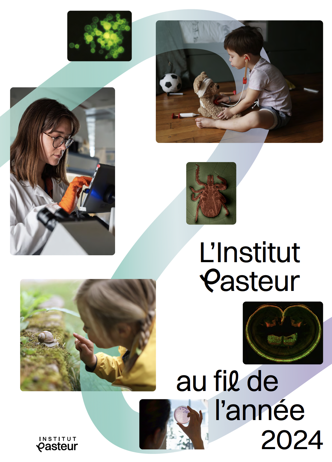 Affiche Rapport annuel de l'Institut Pasteur 2024 à télécharger 