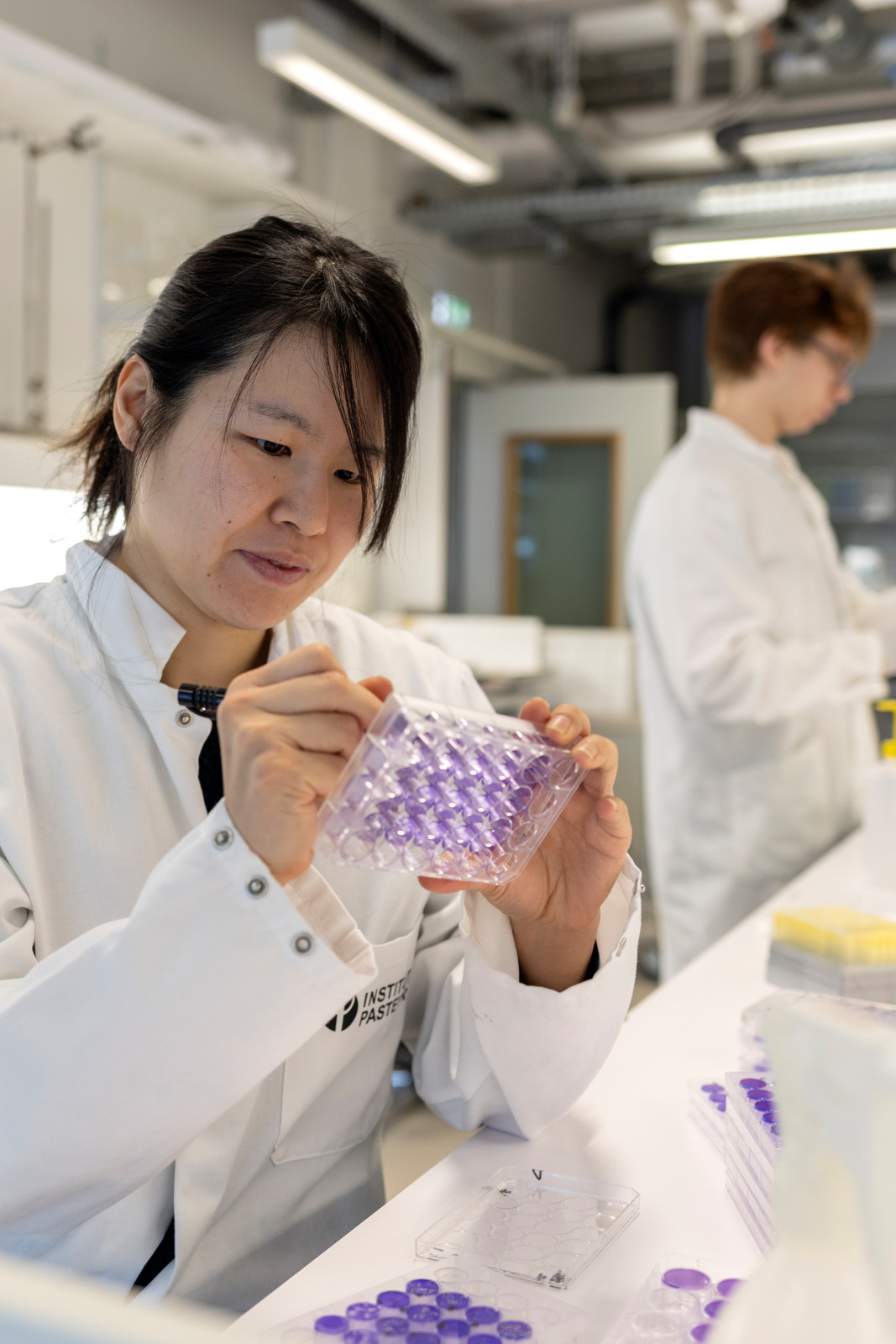 Reportage dans l’Unité Interactions virus-insectes