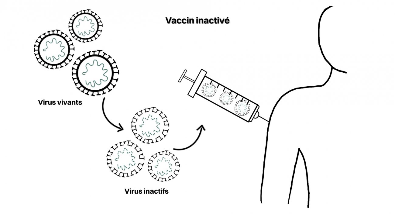 Principe Vaccin inactivé Principe Vaccin inactivé