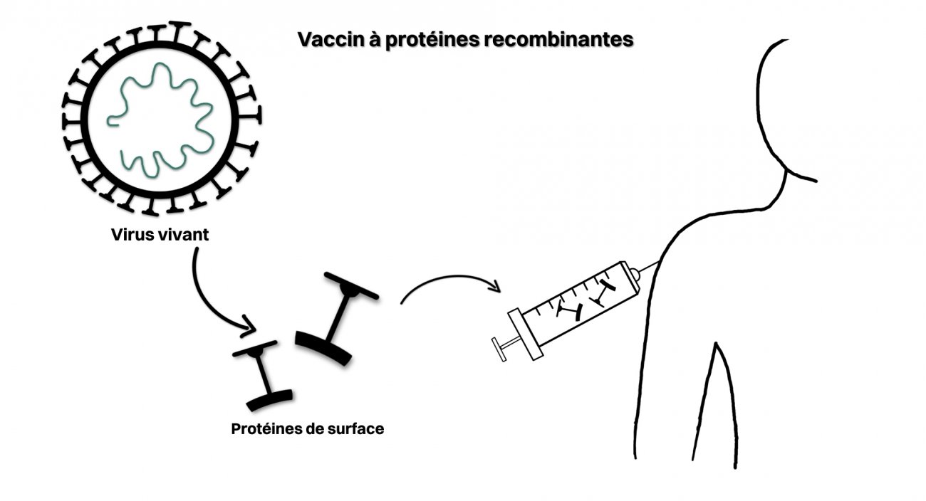 principe vaccin à protéines recombinantes principe vaccin à protéines recombinantes