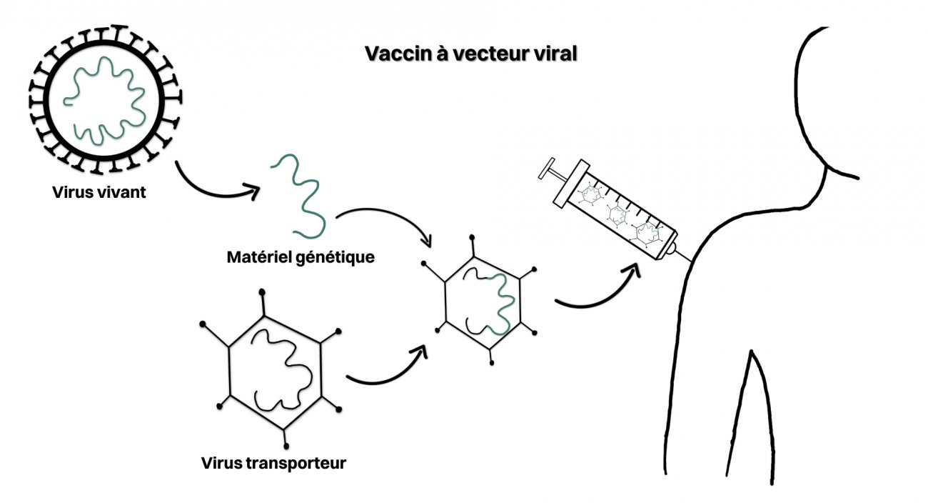 principe vaccin à vecteur viral principe vaccin à vecteur viral