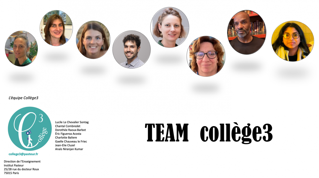 Equipe de collège 3