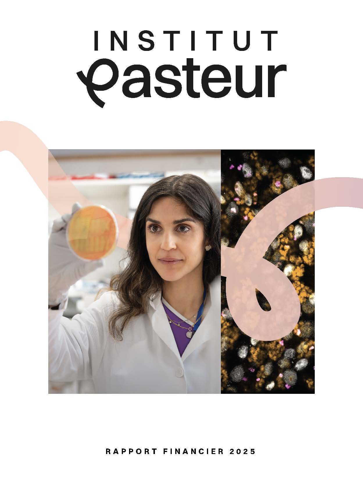 Institut Pasteur - Rapport financier 2025 Institut Pasteur - Rapport financier 2025