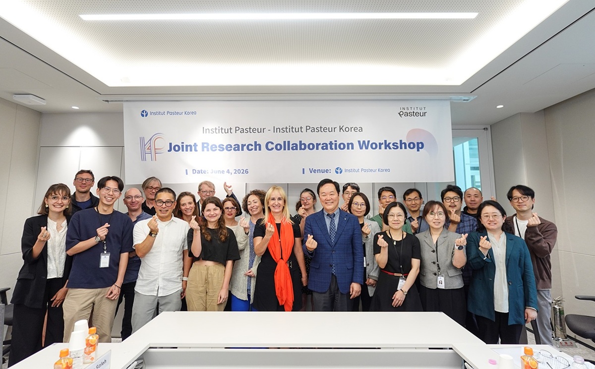 IPK & IP workshop