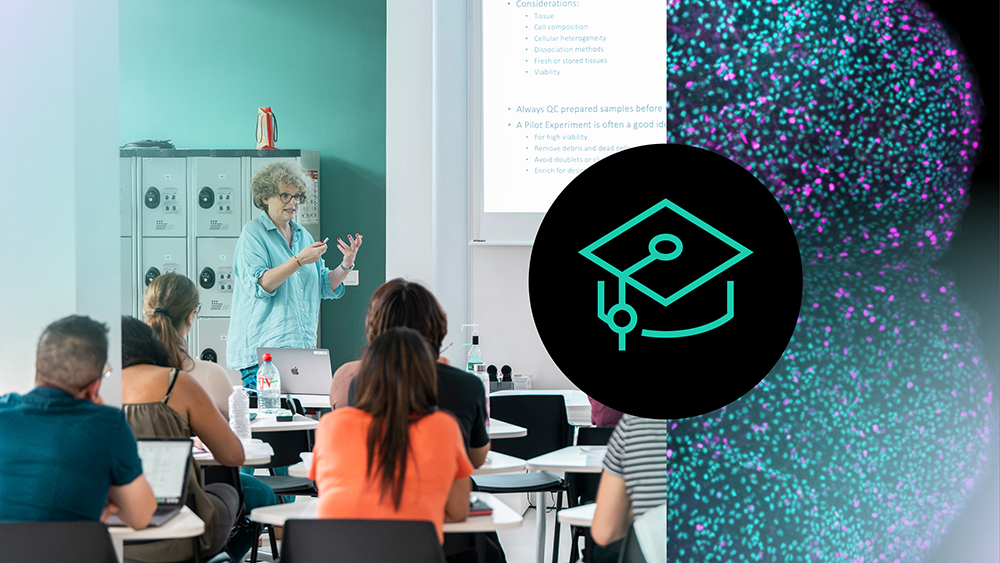 Formation & enseignement
