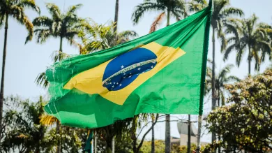 Drapeau Brésil- Flag of Brazil