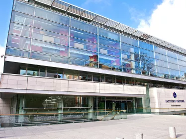 Notre gouvernance - Institut Pasteur