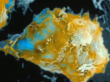 Département d'immunologie - Institut Pasteur