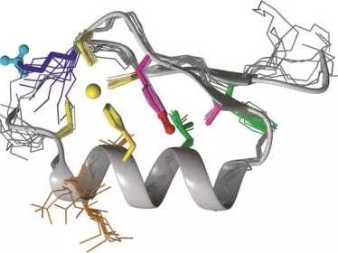 Biologie structurale - Institut Pasteur