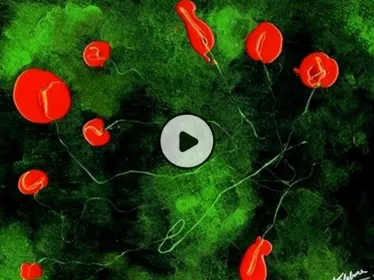 Mooc From neuron to behavior - Institut Pasteur/Cnam