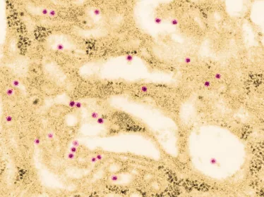 Virologie - Institut Pasteur