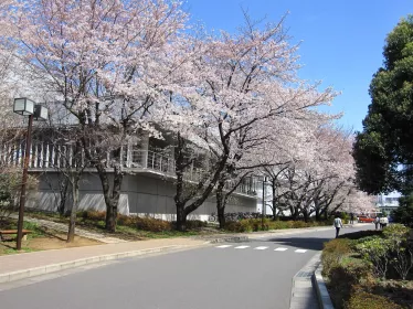 RIKEN Wako - Japon - Institut Pasteur 