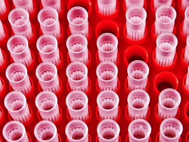 Institut Pasteur - Santé publique - CRBIP 
