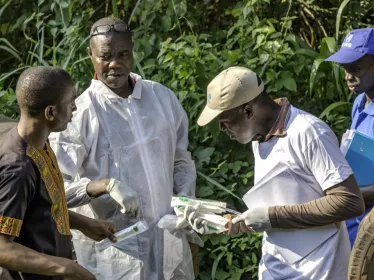 © Institut Pasteur de Bangui/Jean-Marc Zokoué