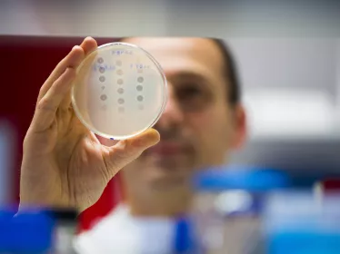 Laurent Debarbieux - Institut Pasteur