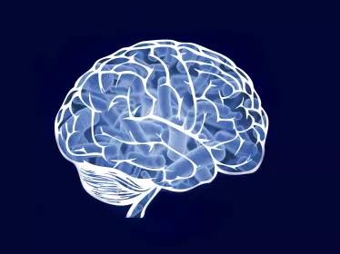 Microbes & Brain Mooc