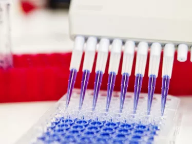 The 2017 Sanofi-Institut Pasteur Award Winners