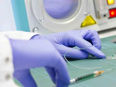 L’informatique aux commandes de la biologie ou comment contrôler une population de cellules par ordinateur