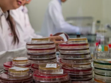 Laboratoire d’analyses médicales de l'Institut Pasteur du Cambodge.